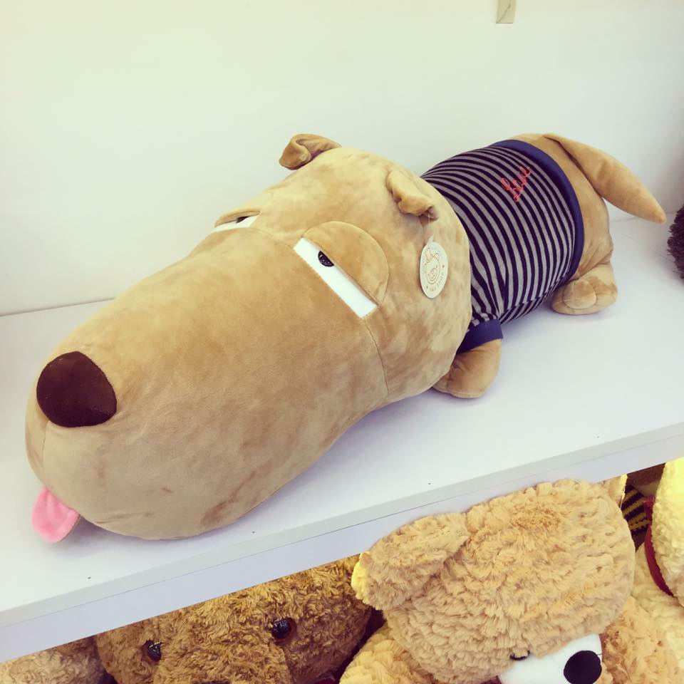 Chó Puco