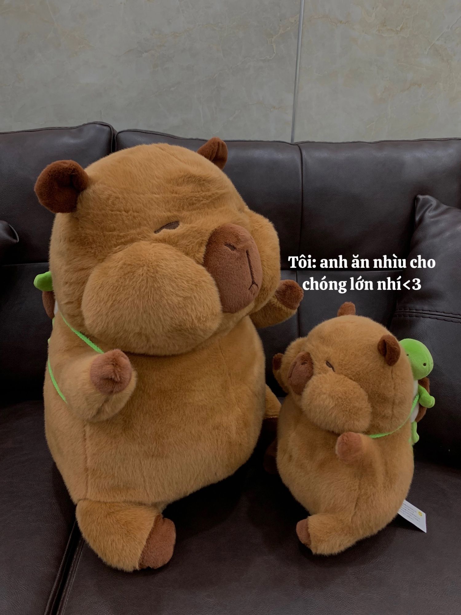 Capybara balo má phồng