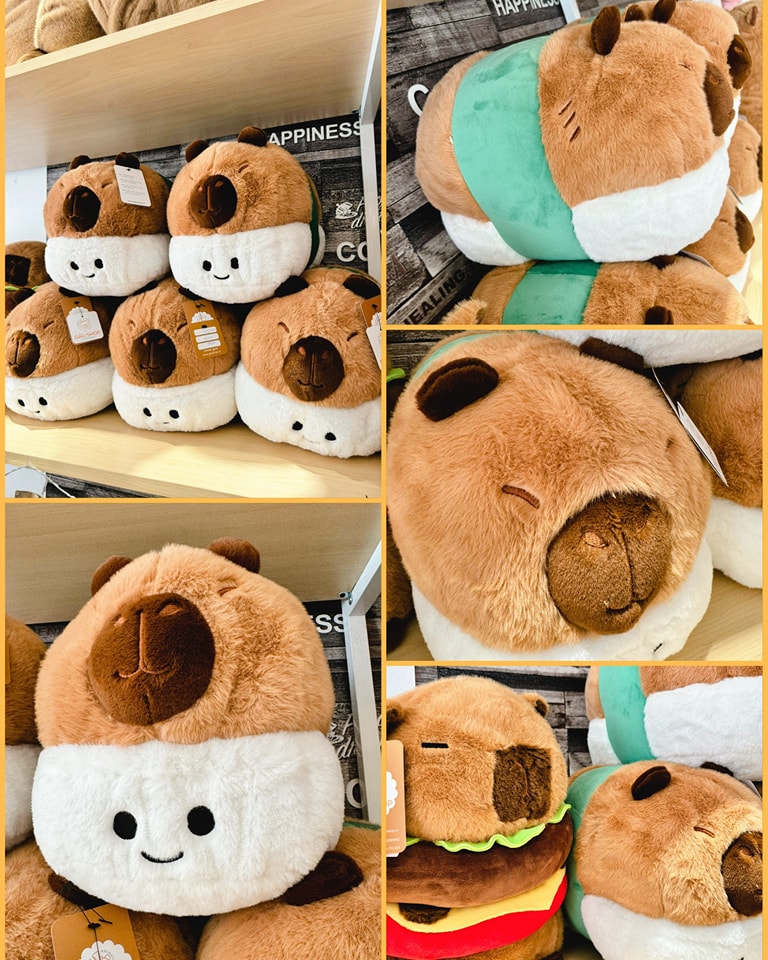 Capybara sushi