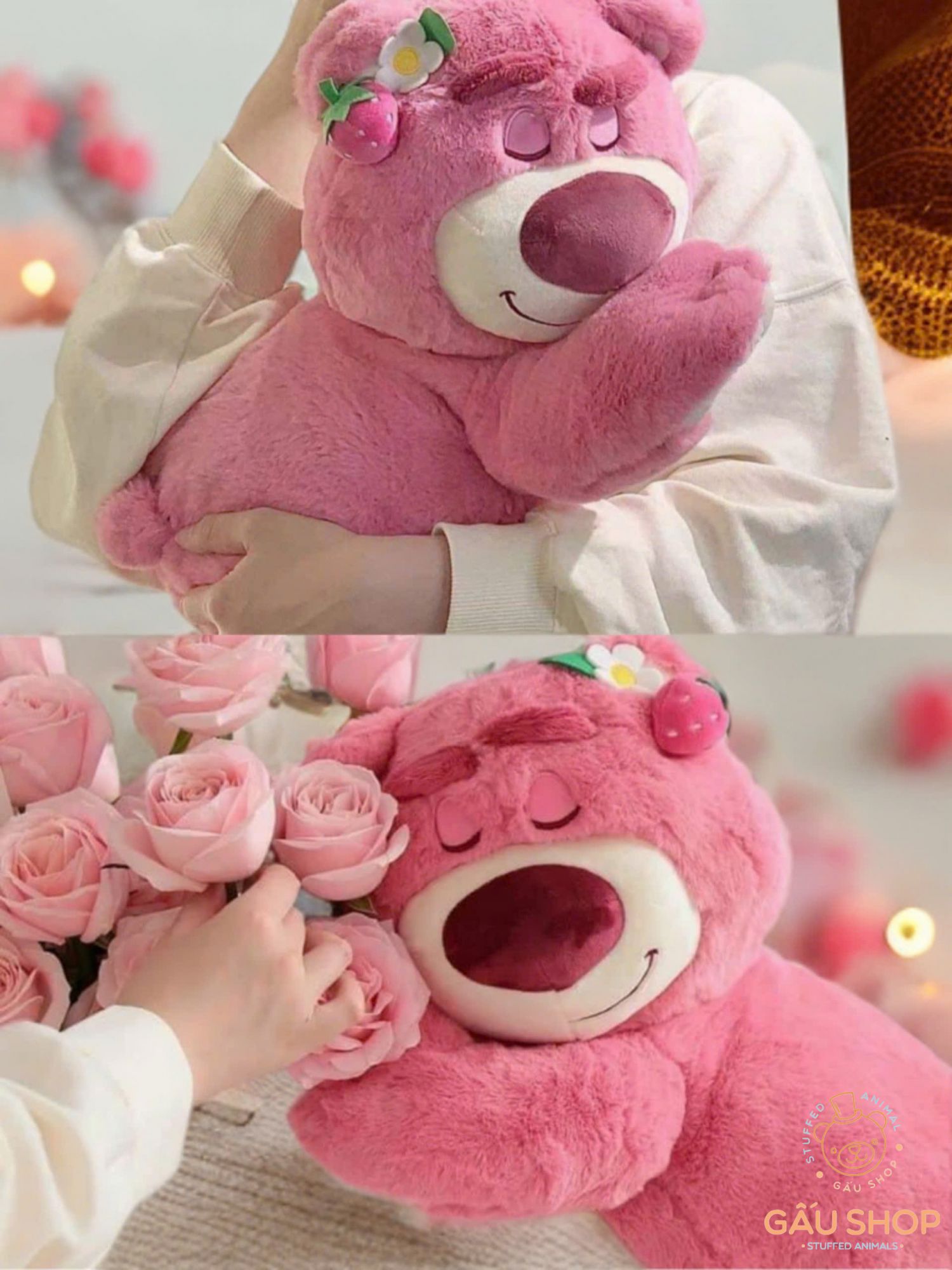 Gấu dâu Lotso nằm ngủ