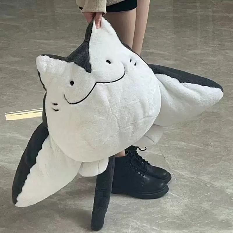 Cá đuối mèo