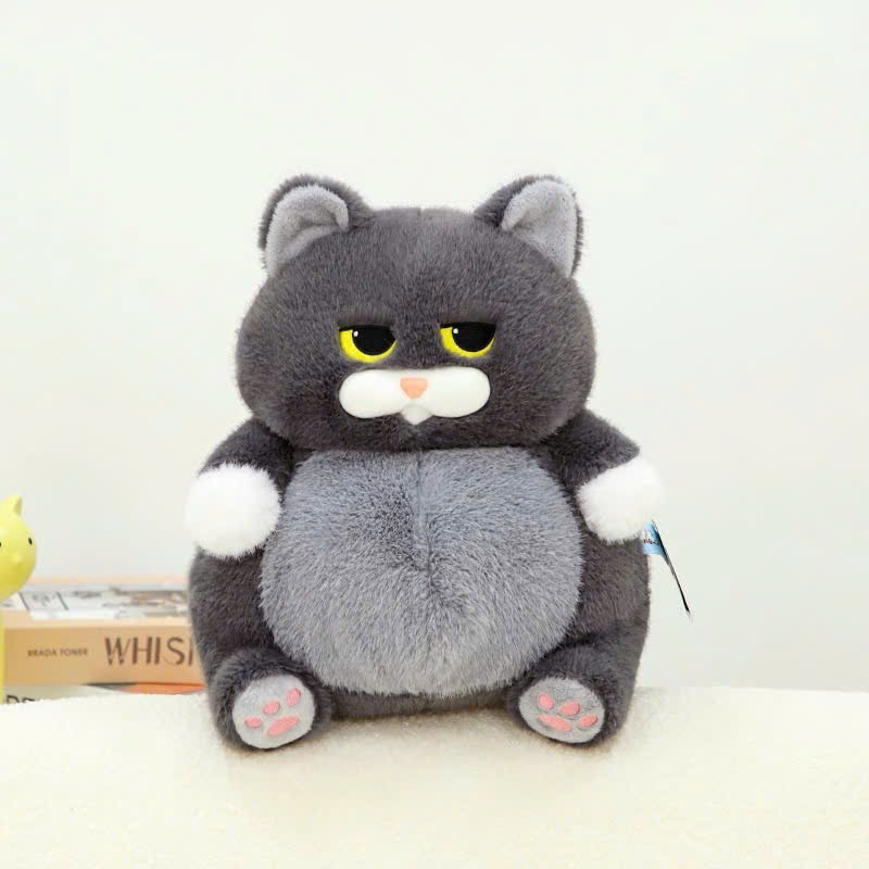Mèo mập mặt quạo