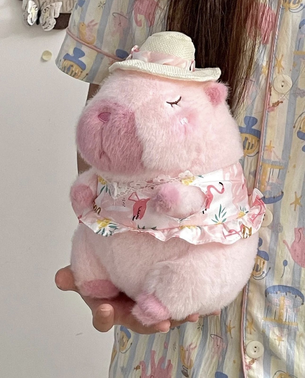 Capybara hawaii