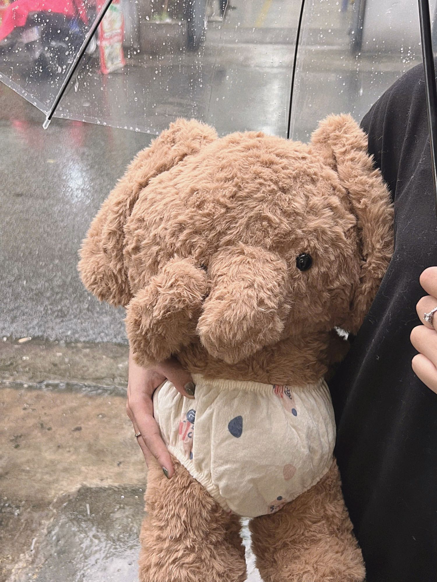 Voi nâu mặc bỉm