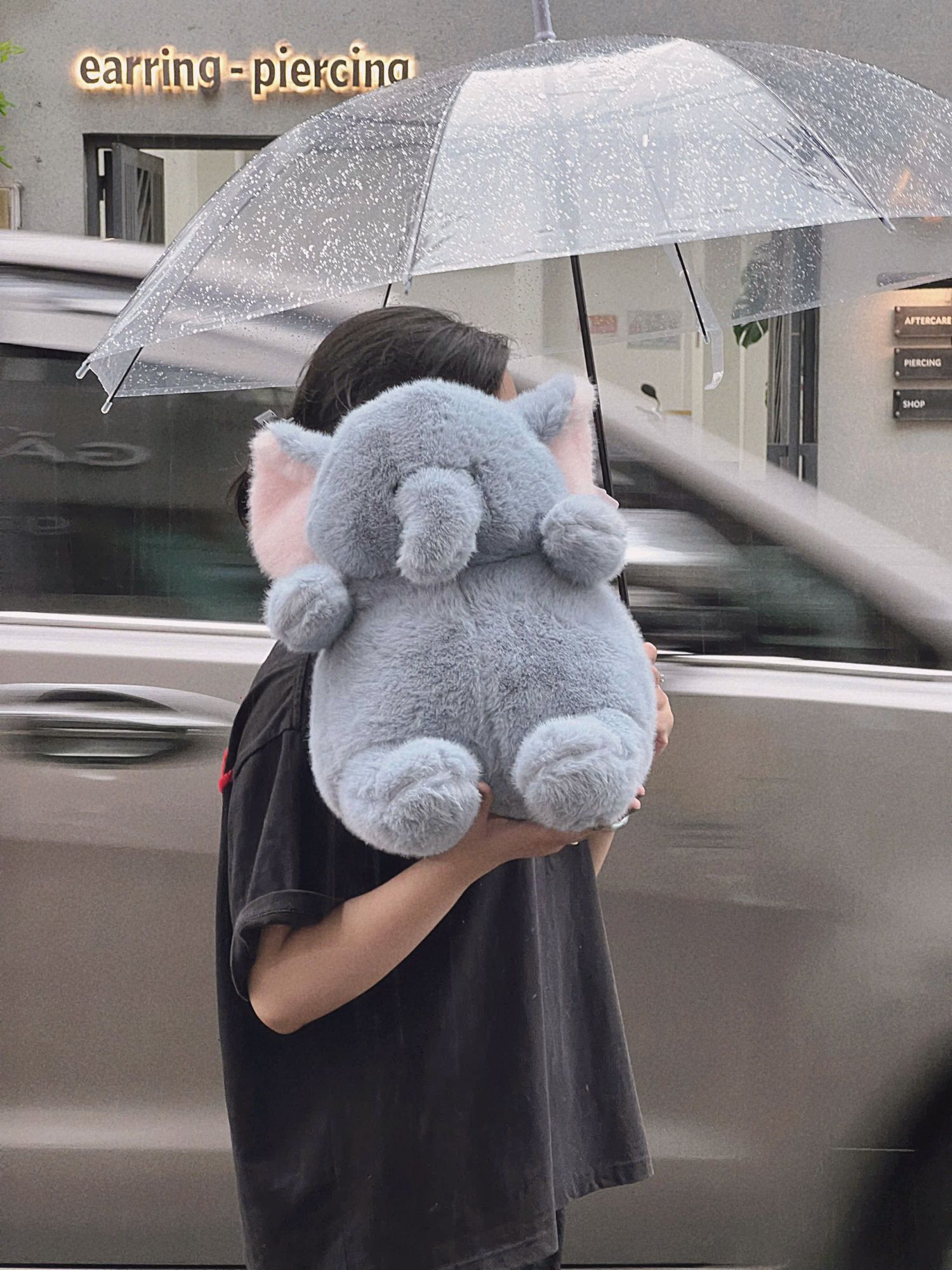 Voi má phính Bobova