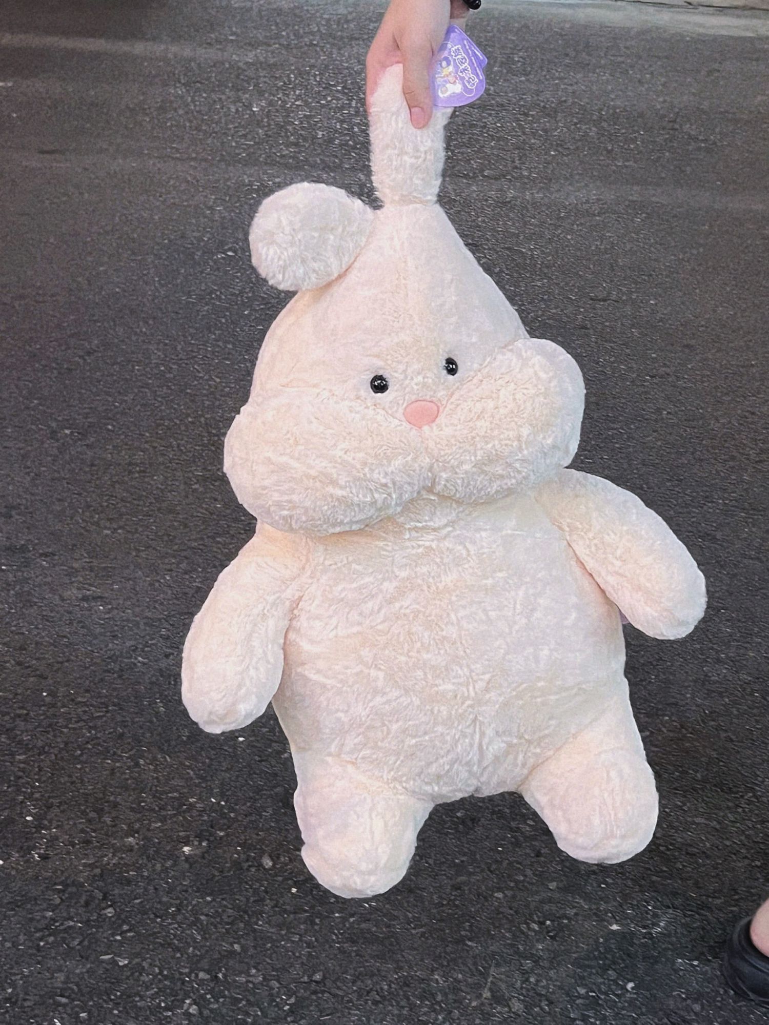 Thỏ / Sói ngồi má phồng