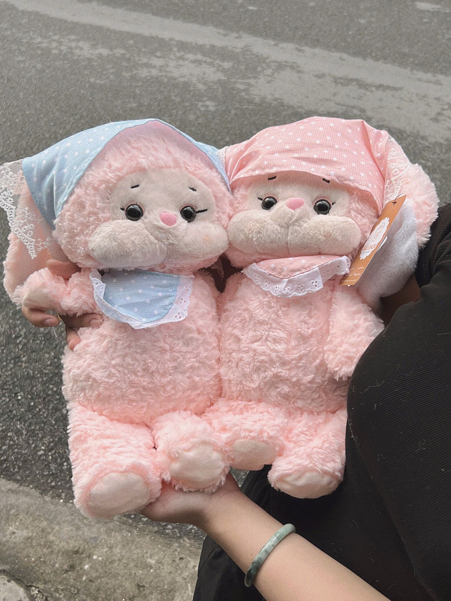 Thỏ đội khăn yếm