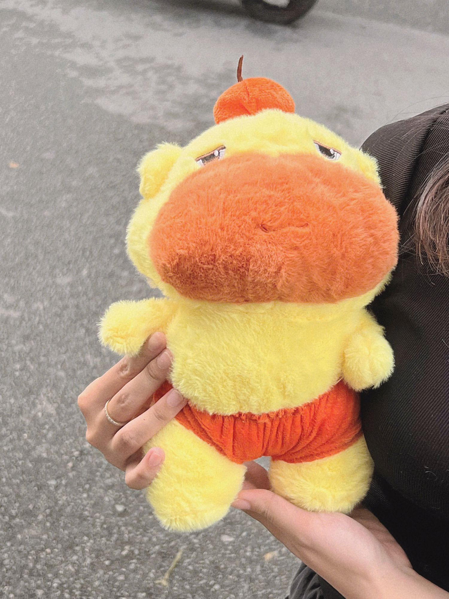 Capy lu lu quần cam