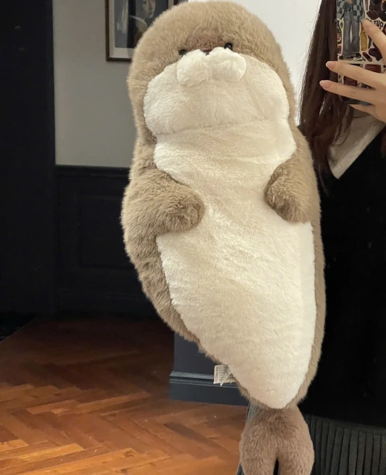 Rái cá dài