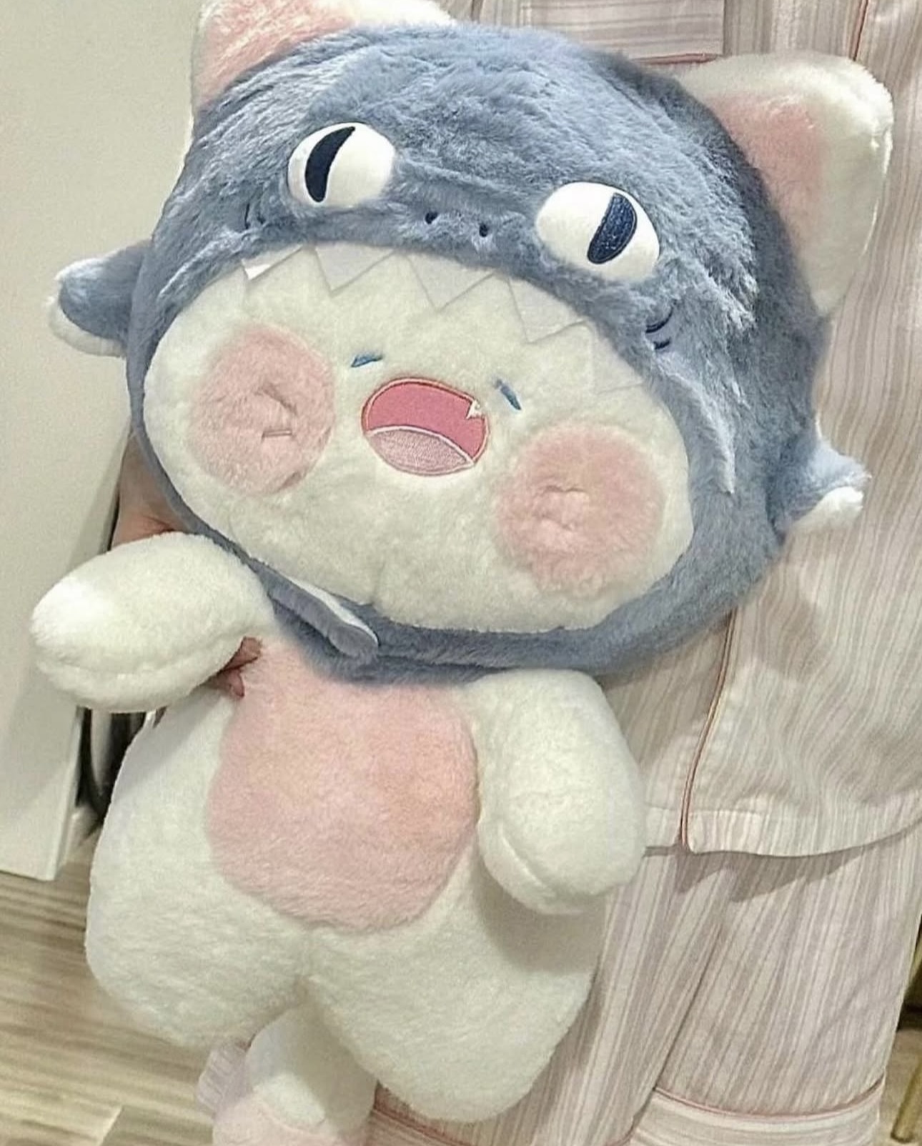 Mèo du du nón cá