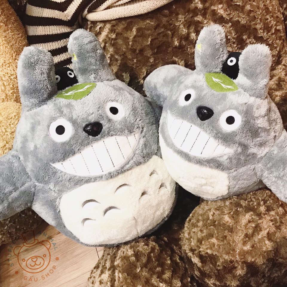 Totoro mặt cười